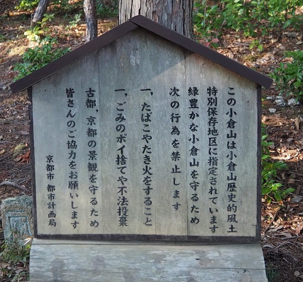 73.jpg