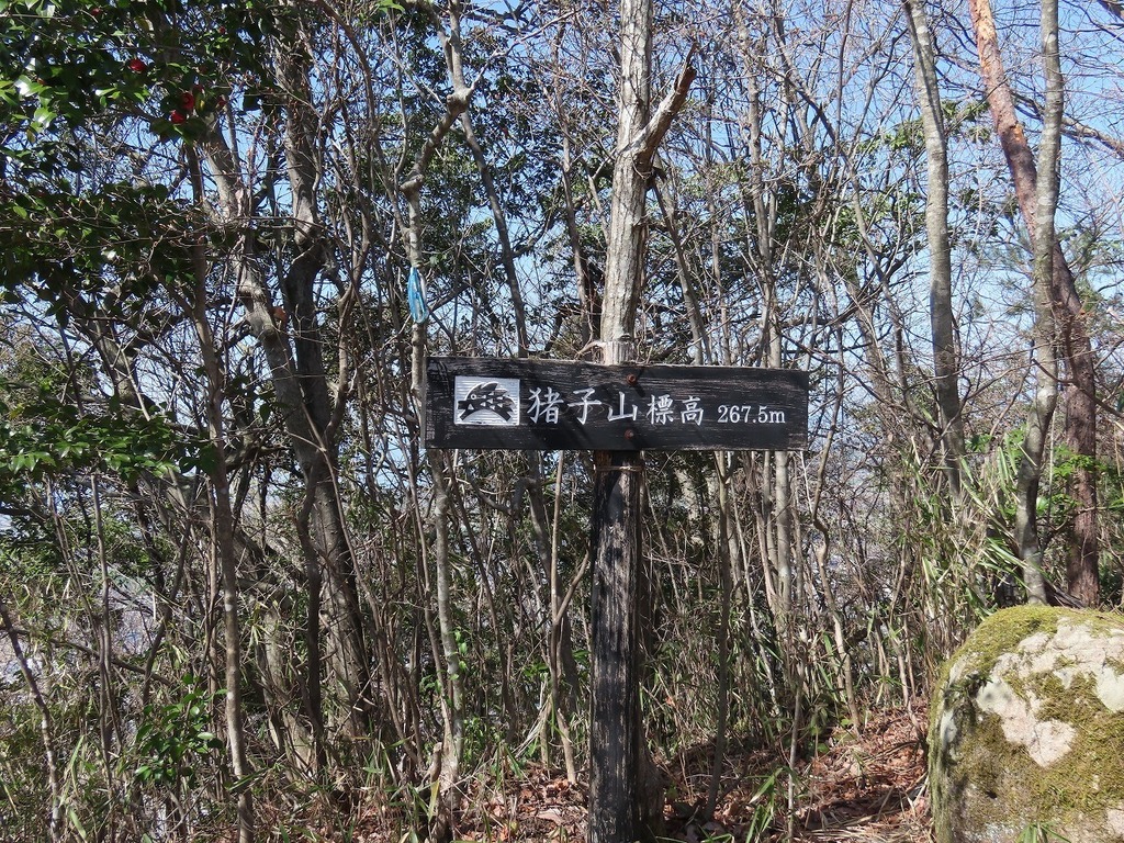 74.jpg