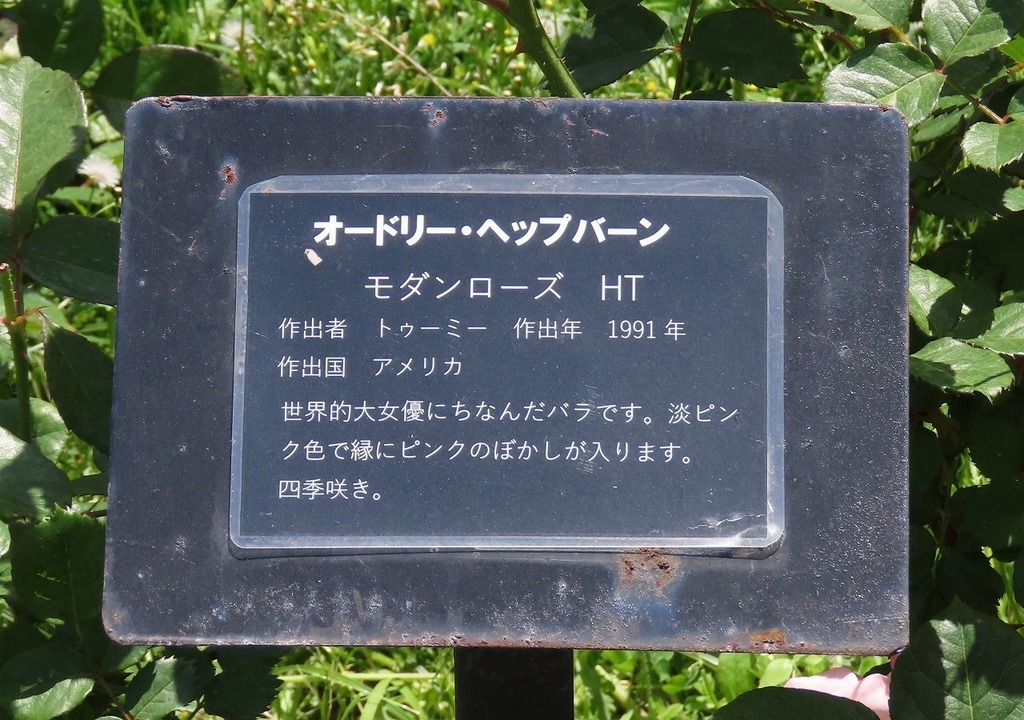 75.jpg