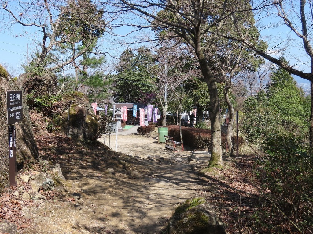 76.jpg