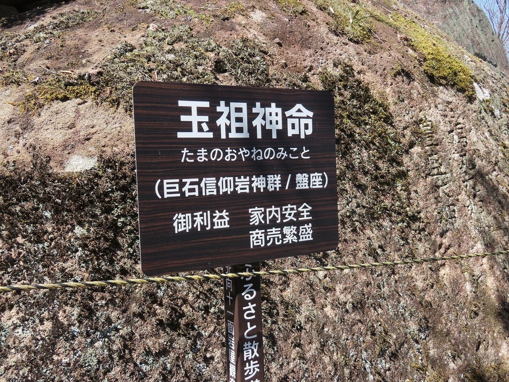 77.jpg