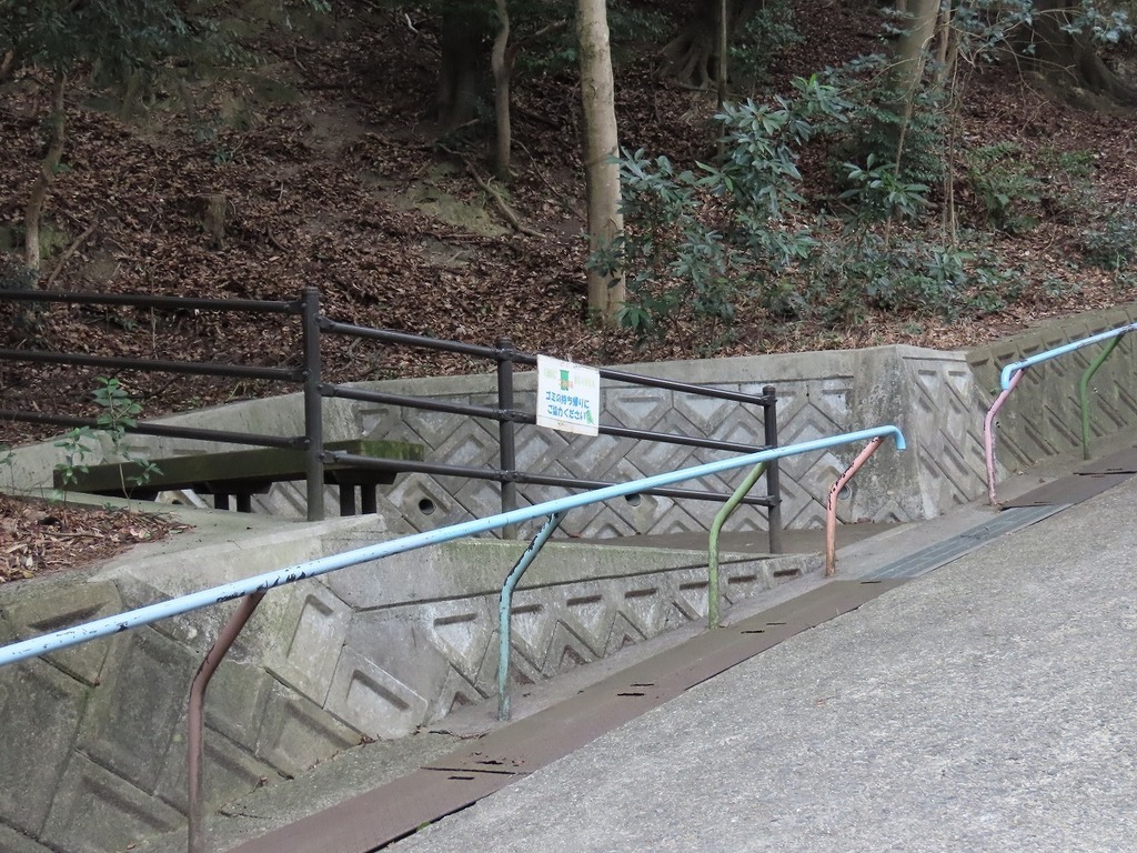77.jpg