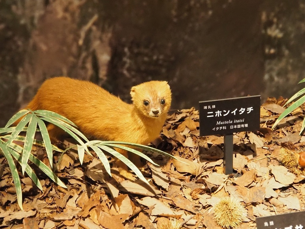 77.jpg