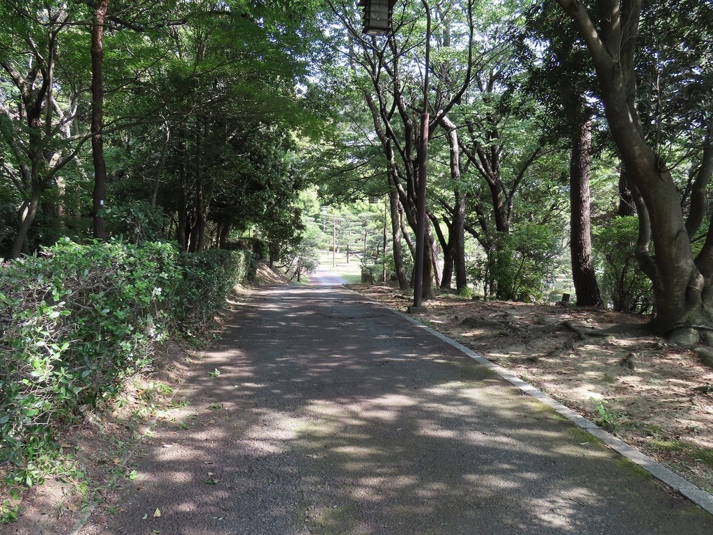 79.jpg