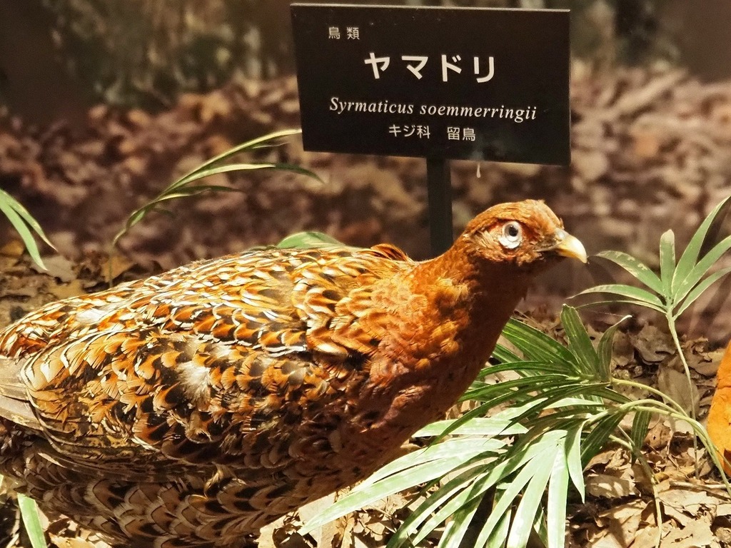 79.jpg