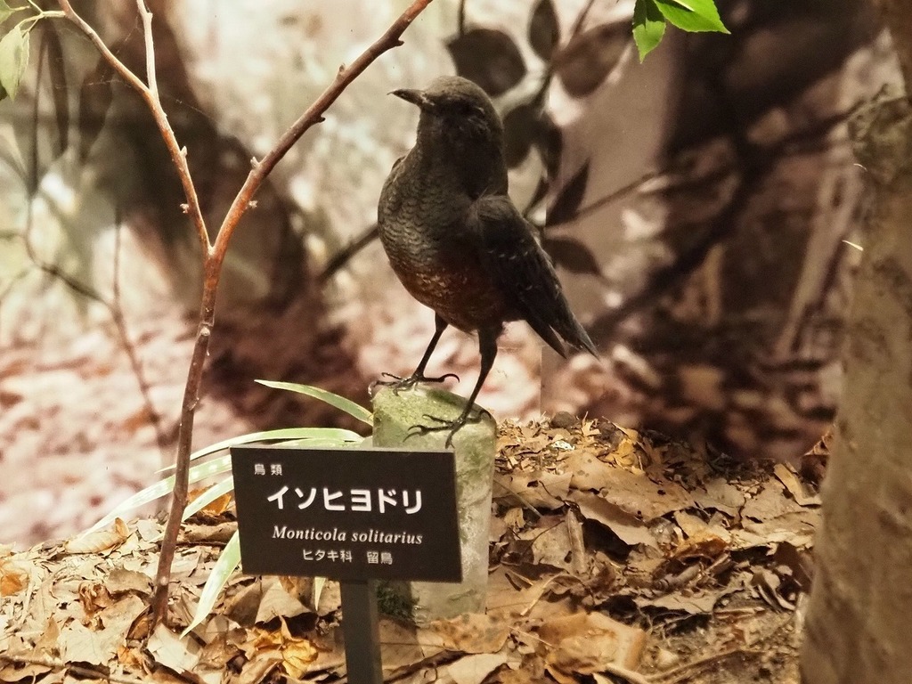 80.jpg