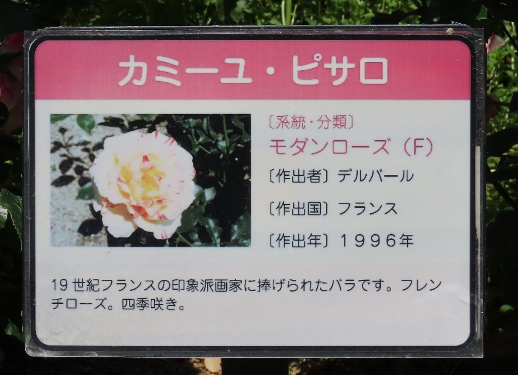 82.jpg