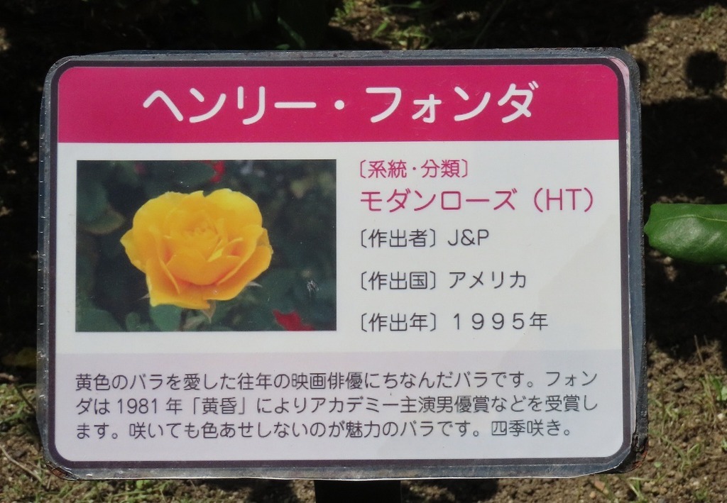 87.jpg