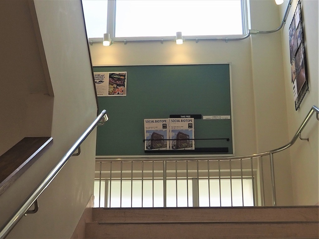 87.jpg