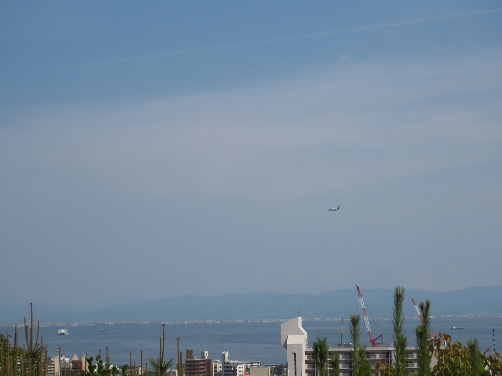 87.jpg