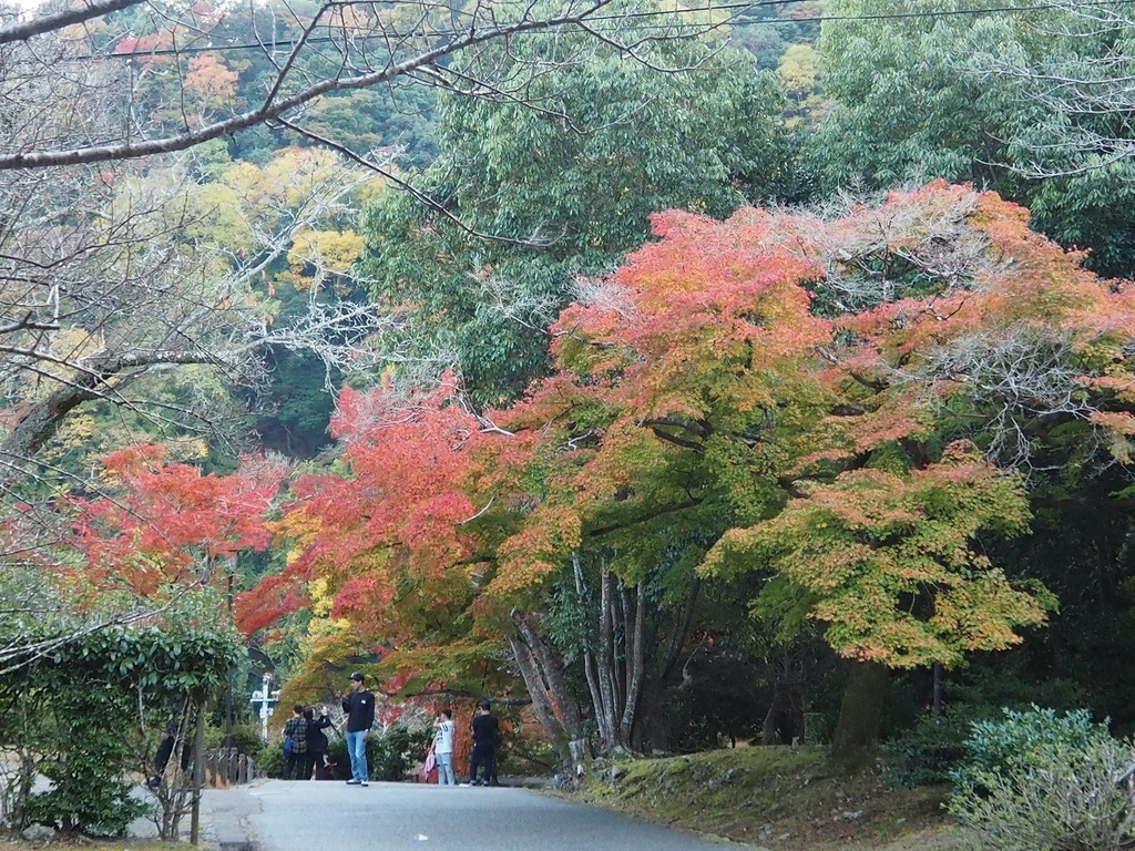 89.jpg
