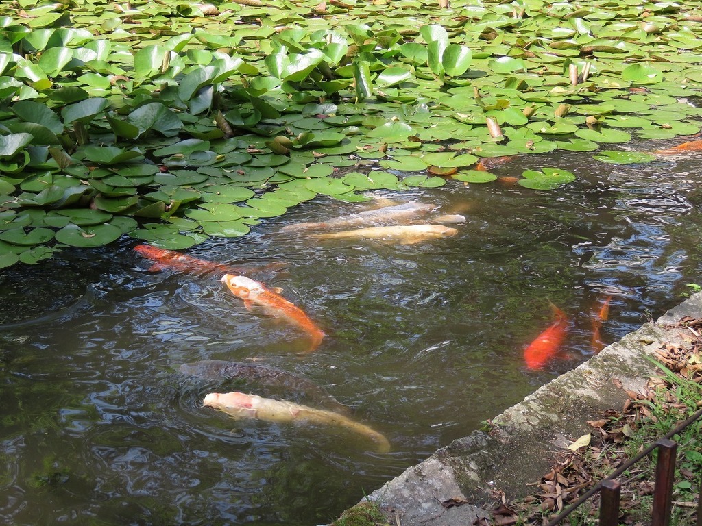95.jpg