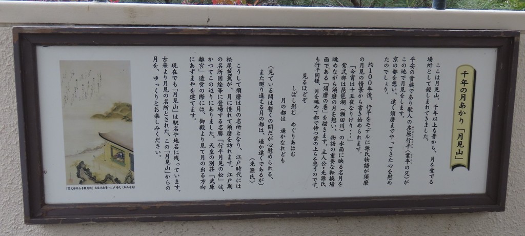 95.JPG