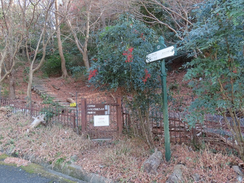 96.jpg