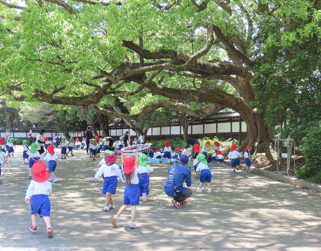 96.jpg