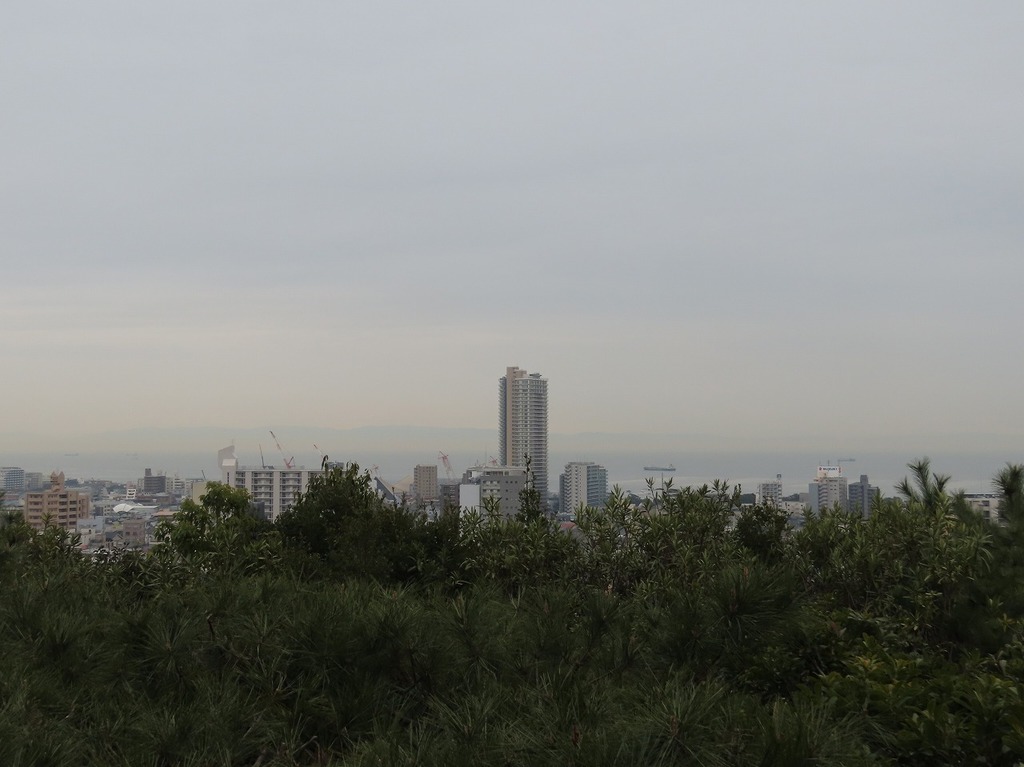 97.jpg