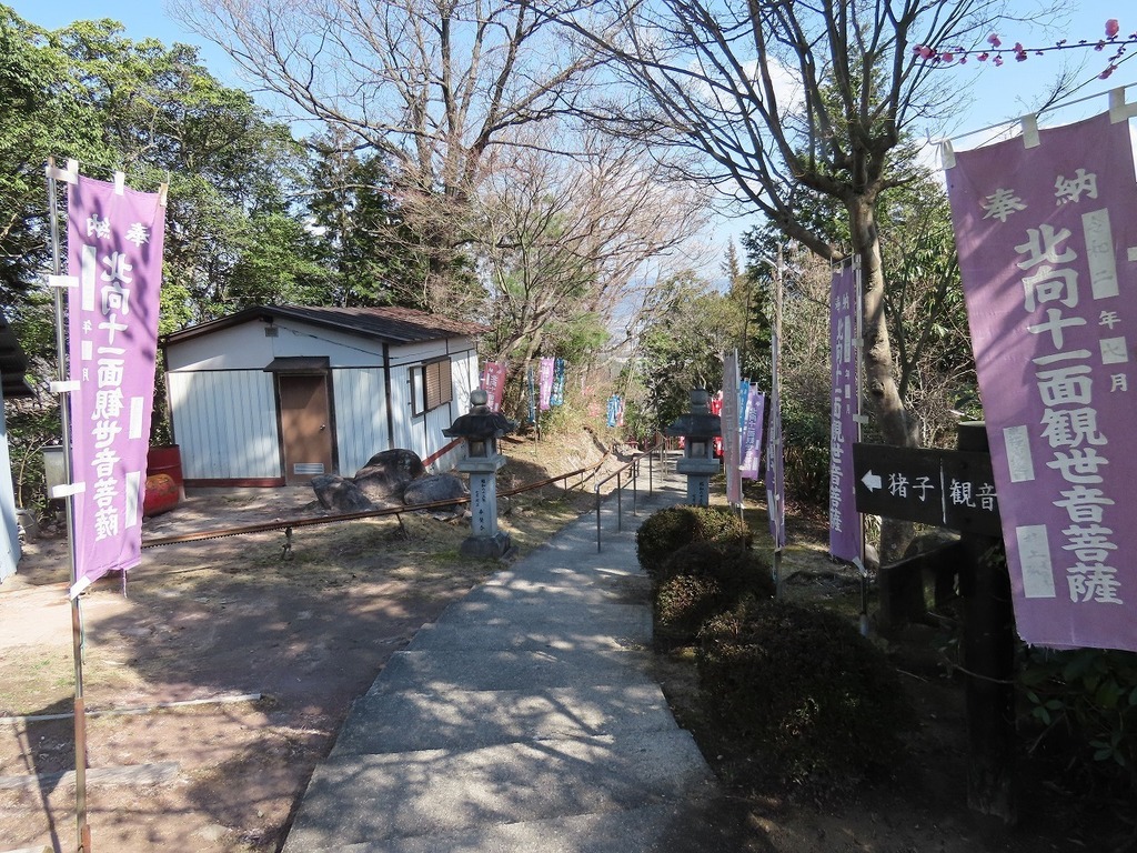 97.jpg