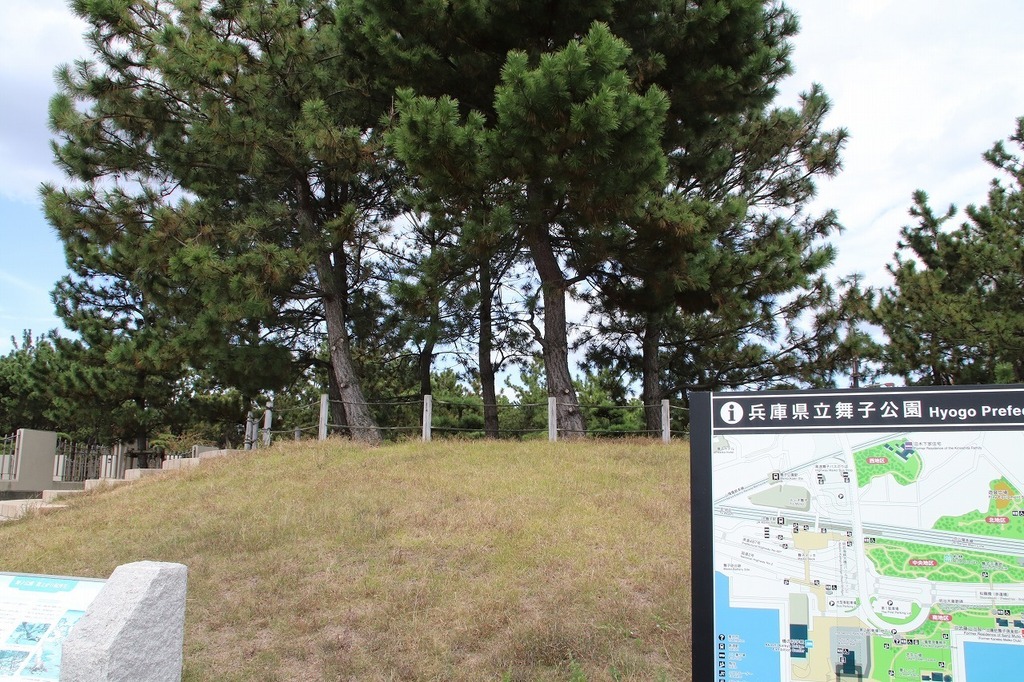 98.jpg